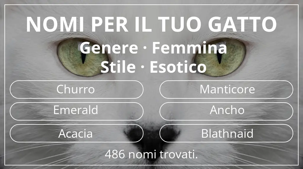 Nomi per gatti legati a genere femmina e stile esotico