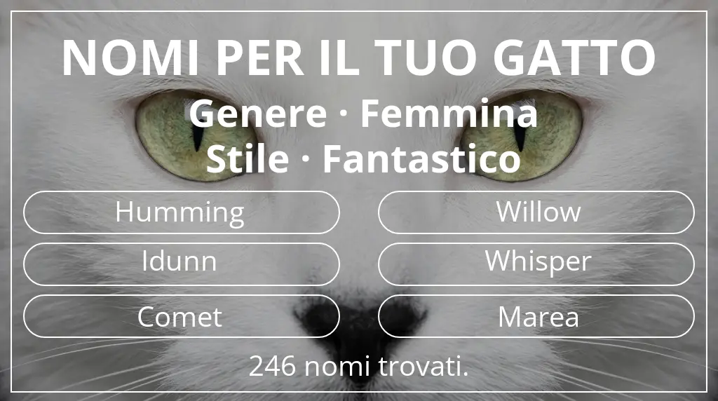 Nomi per il tuo gatto legati a genere femmina e stile fantastico