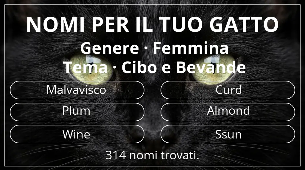 Nomi per il tuo gatto legati a genere femmina e tema cibo e bevande