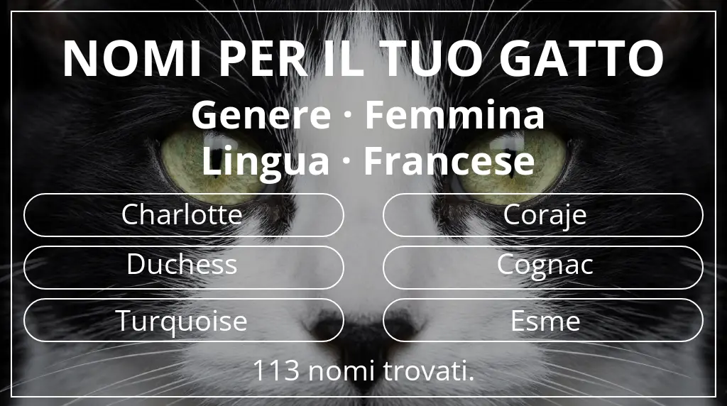 Nomi felini basati su genere femmina e lingua francese