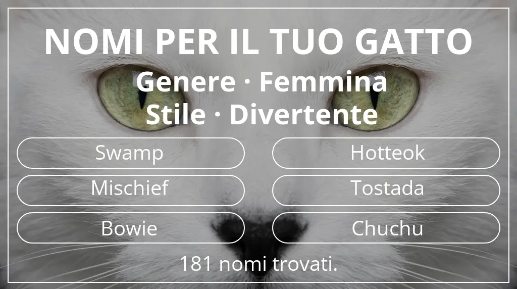 Nomi per il tuo gatto legati a genere femmina e stile divertente