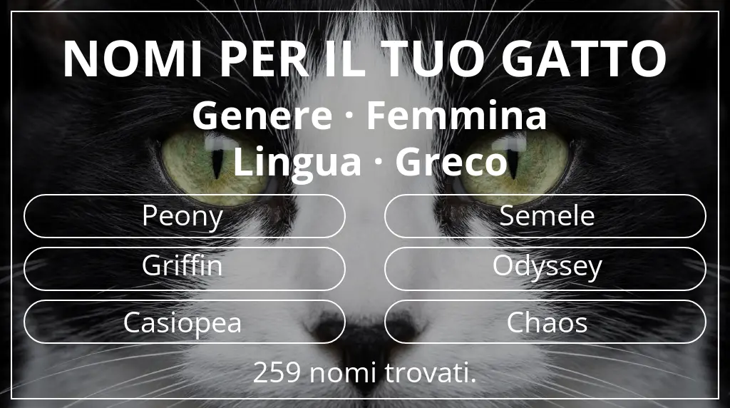 Nomi per il tuo gatto legati a genere femmina e lingua greco
