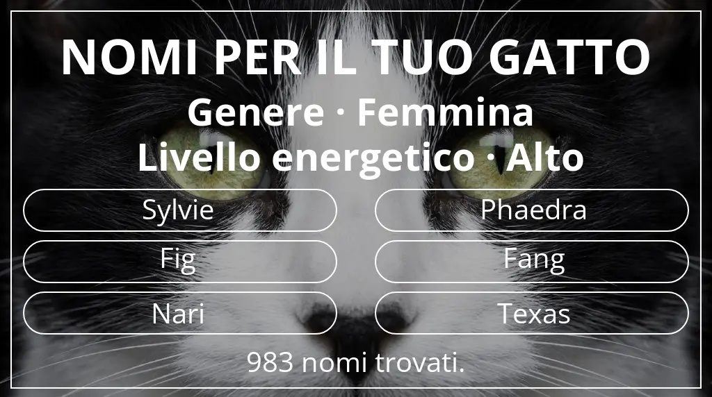 Nomi felini legati a genere femmina e livello energetico alto