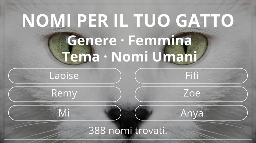 Nomi per il tuo gatto legati a genere femmina e tema nomi umani