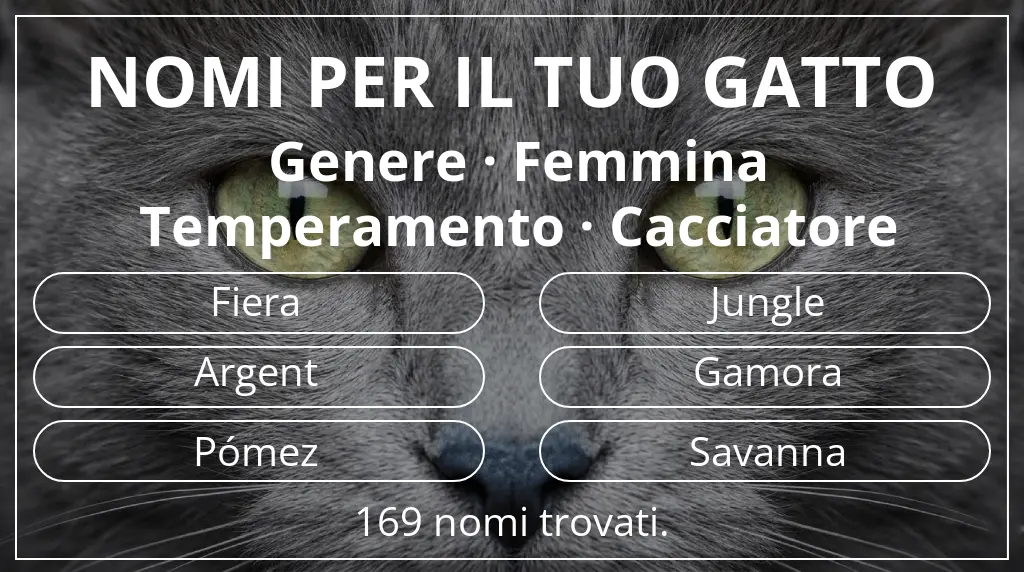 Nomi per il tuo gatto basati su genere femmina e temperamento cacciatore