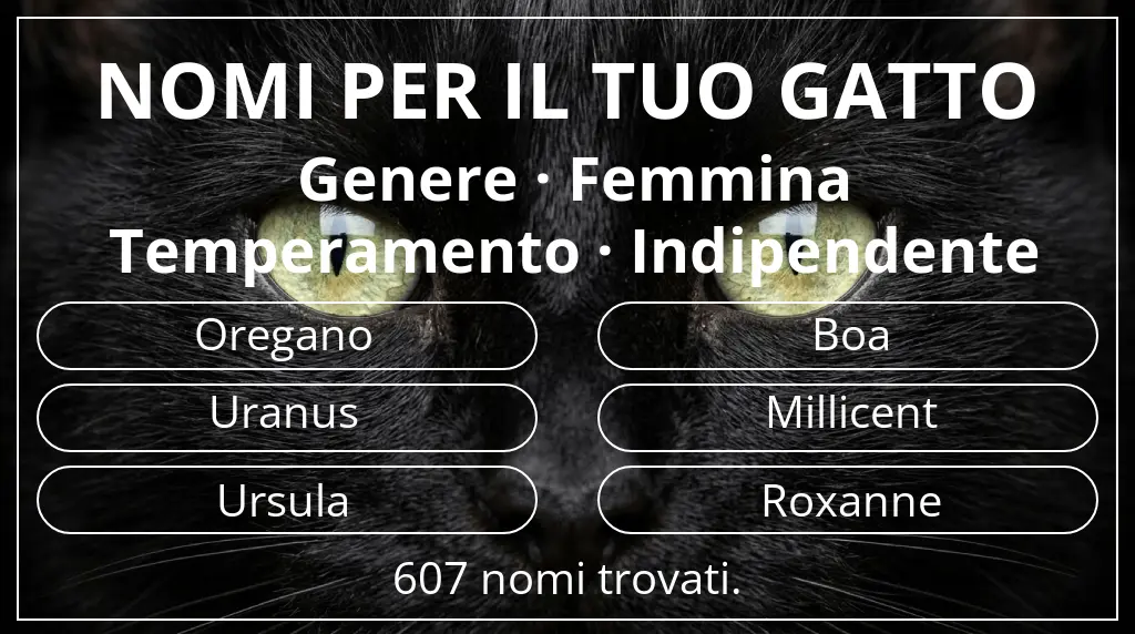 Nomi per il tuo gatto ispirati a genere femmina e temperamento indipendente
