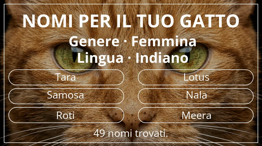 Nomi per il tuo gatto legati a genere femmina e lingua indiano