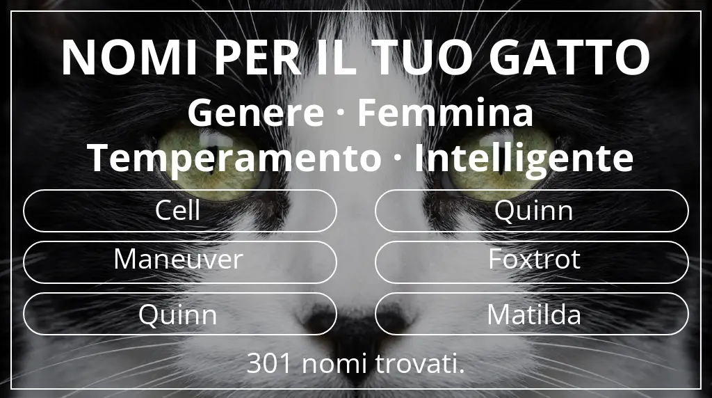Nomi per gatti ispirati a genere femmina e temperamento intelligente