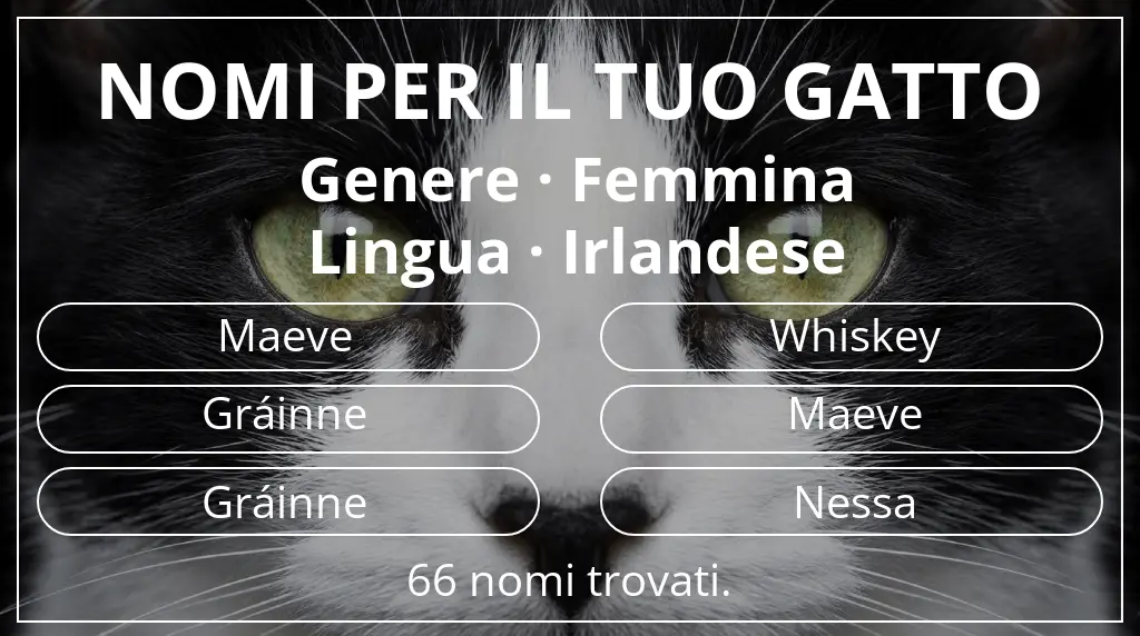 Nomi felini ispirati a genere femmina e lingua irlandese