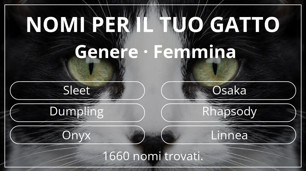 Nomi per il tuo gatto basati su genere femmina
