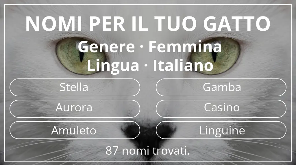Nomi felini legati a genere femmina e lingua italiano