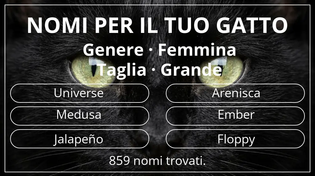 Nomi felini ispirati a genere femmina e taglia grande