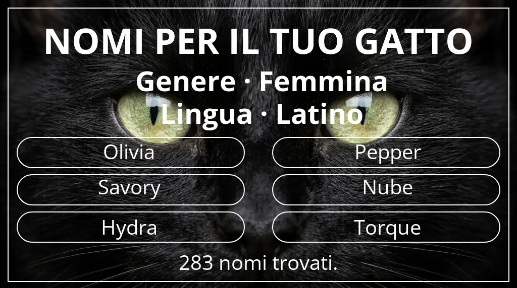 Nomi per gatti basati su genere femmina e lingua latino