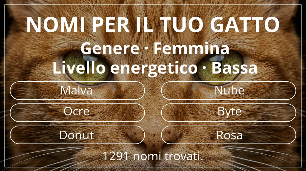 Nomi per gatti basati su genere femmina e livello energetico bassa