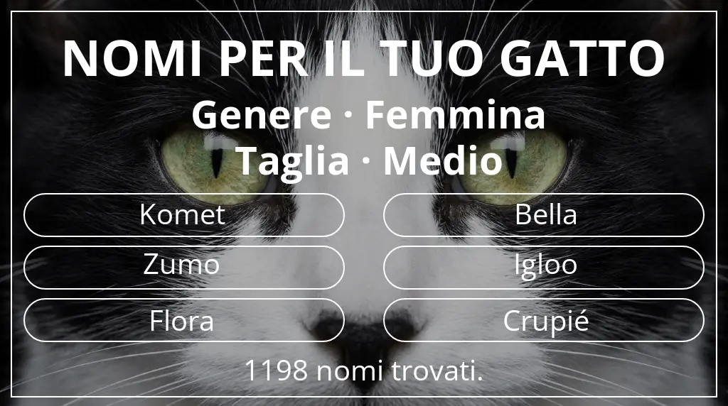 Nomi felini legati a genere femmina e taglia medio