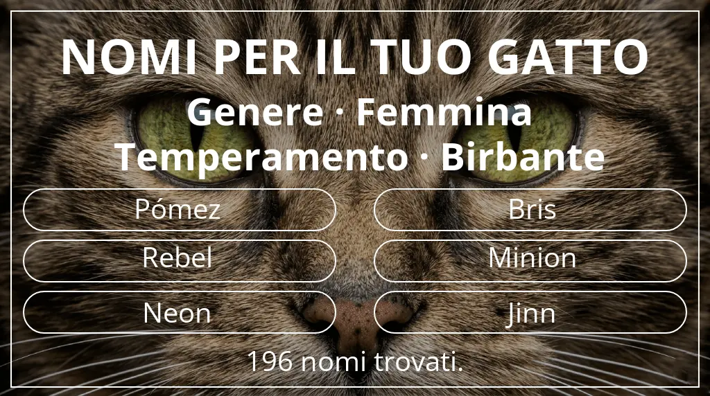 Nomi per gatti legati a genere femmina e temperamento birbante