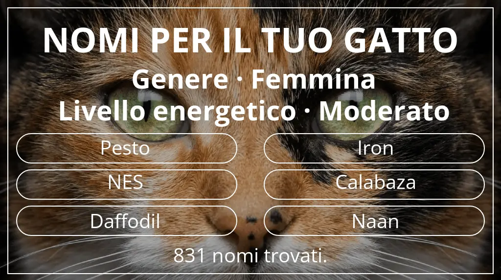 Nomi per gatti ispirati a genere femmina e livello energetico moderato