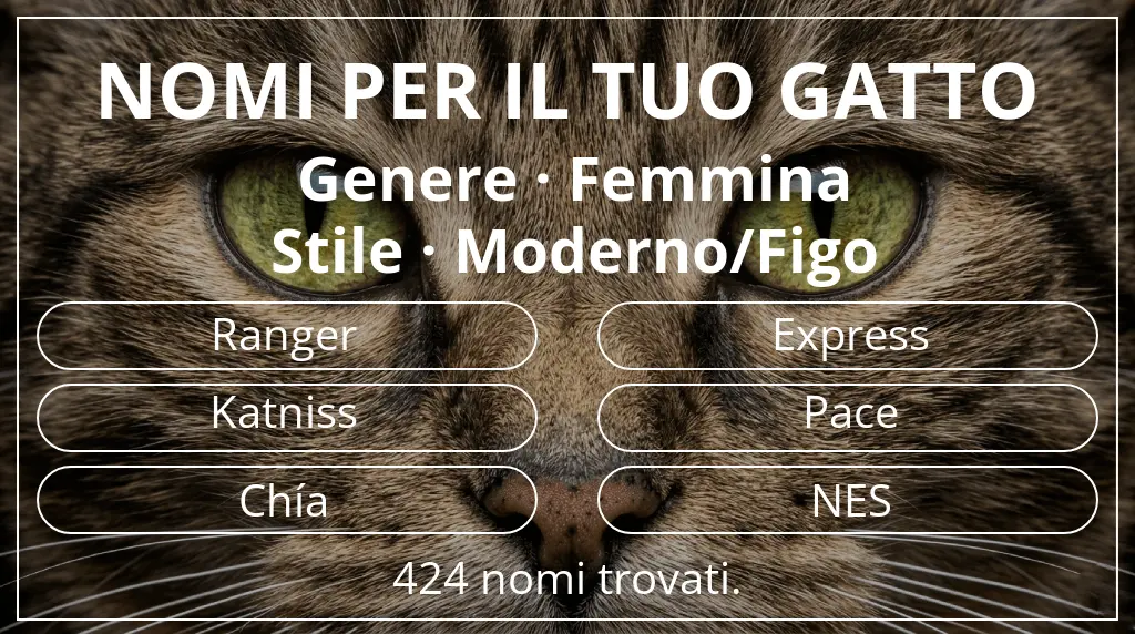 Nomi per il tuo gatto basati su genere femmina e stile moderno/figo