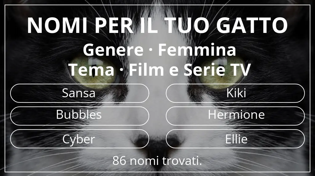 Nomi per il tuo gatto ispirati a genere femmina e tema film e serie tv
