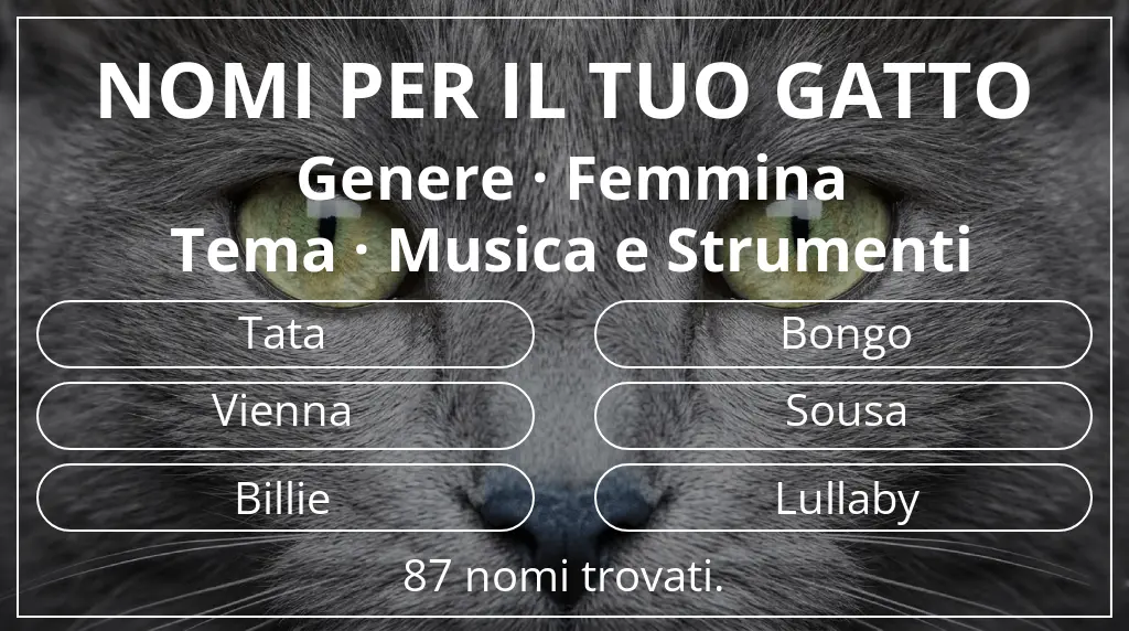 Nomi per il tuo gatto basati su genere femmina e tema musica e strumenti