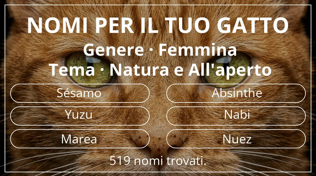Nomi per gatti ispirati a genere femmina e tema natura e all'aperto