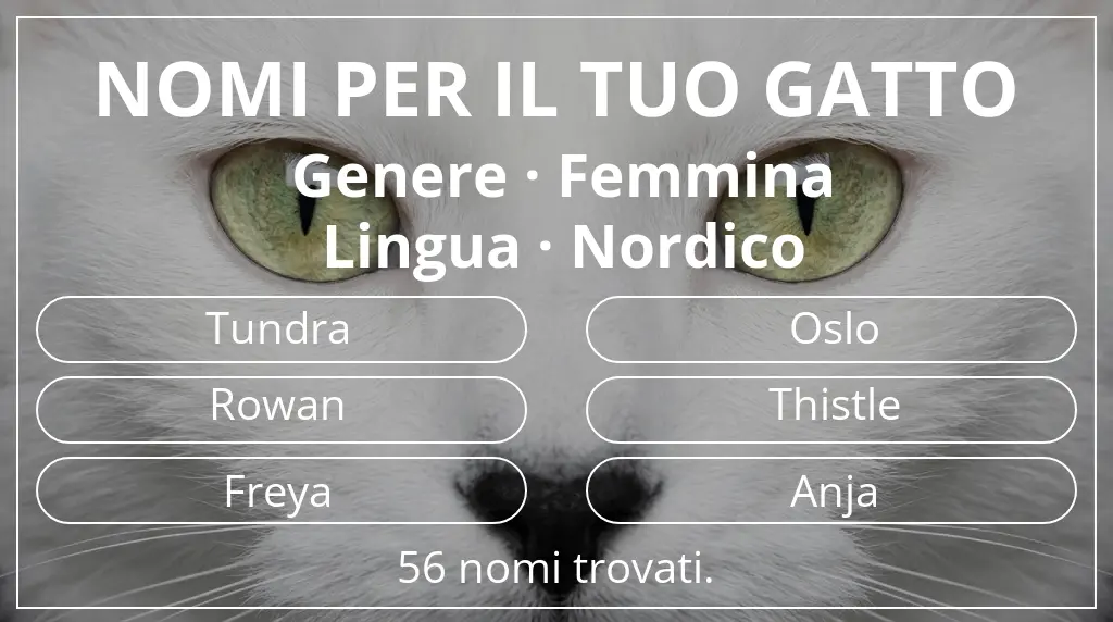 Nomi felini ispirati a genere femmina e lingua nordico