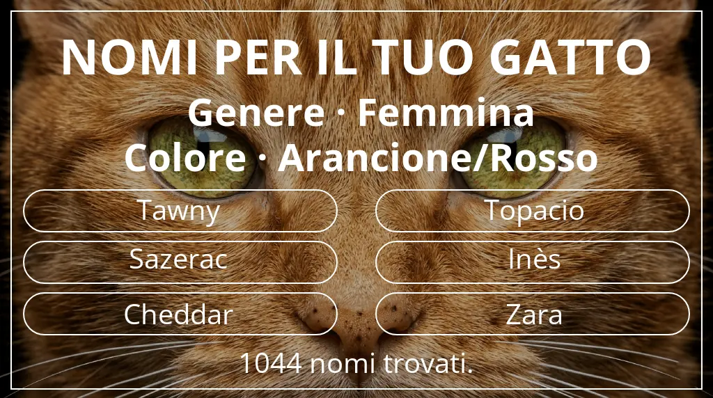 Nomi per gatti legati a genere femmina e colore arancione/rosso