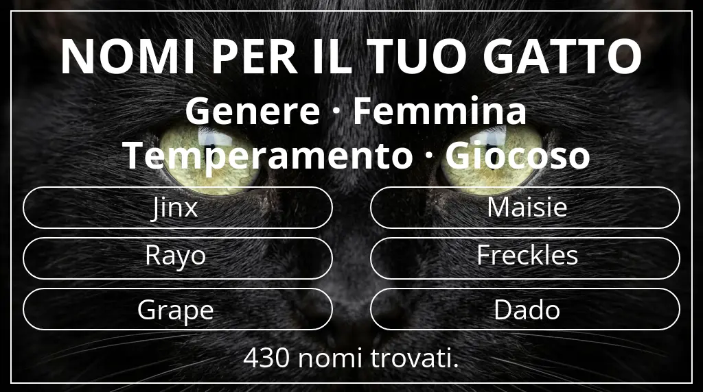 Nomi per gatti basati su genere femmina e temperamento giocoso