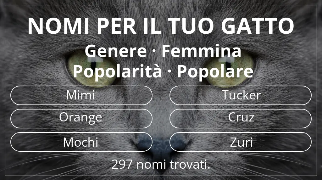 Nomi felini ispirati a genere femmina e popolarità popolare