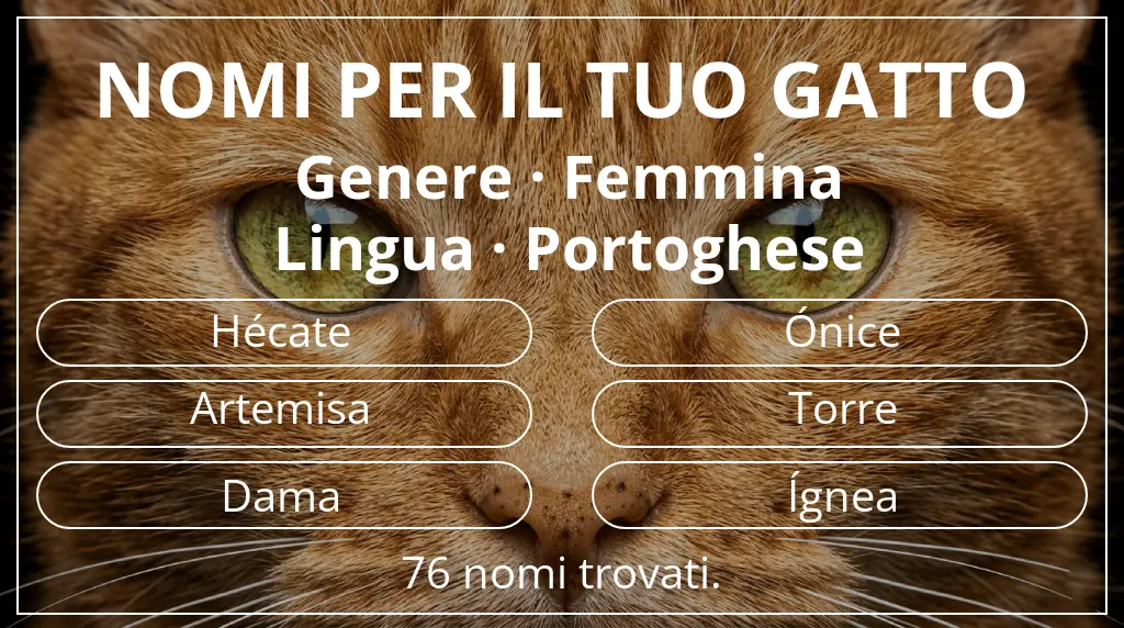 Nomi per il tuo gatto ispirati a genere femmina e lingua portoghese