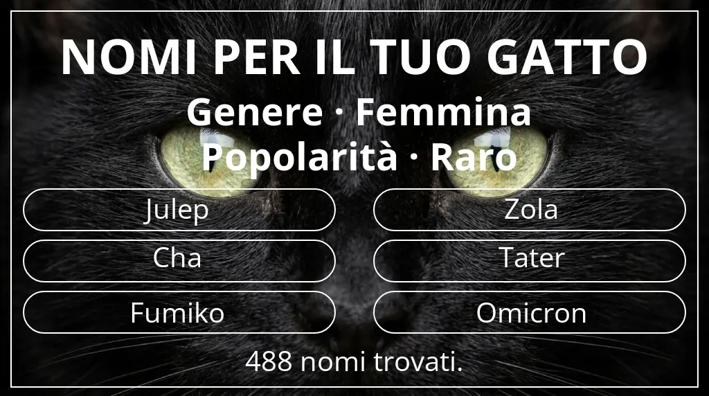 Nomi per il tuo gatto ispirati a genere femmina e popolarità raro