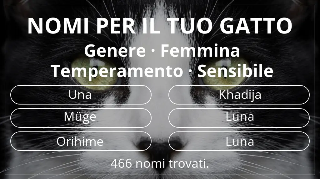 Nomi felini basati su genere femmina e temperamento sensibile