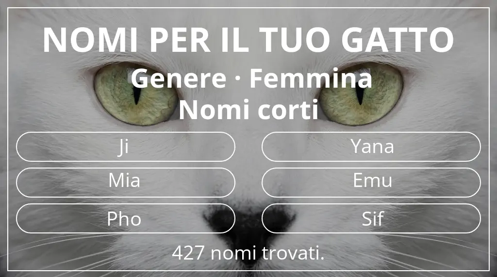 Nomi per il tuo gatto legati a genere femmina e lunghezza del nome breve (2–4)