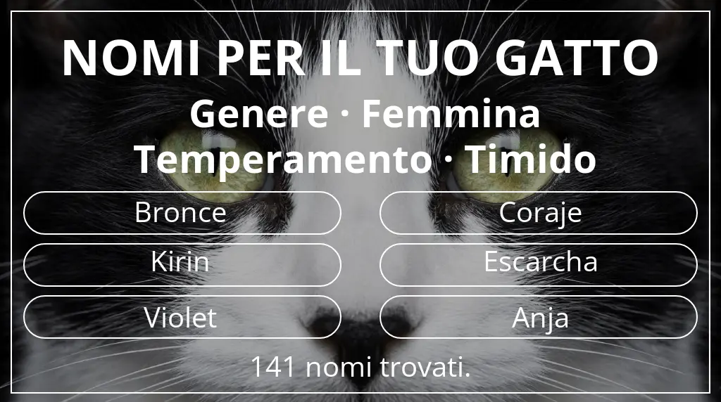 Nomi felini ispirati a genere femmina e temperamento timido