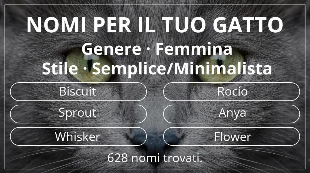 Nomi per il tuo gatto ispirati a genere femmina e stile semplice/minimalista