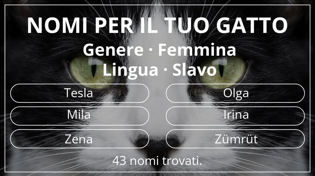 Nomi per il tuo gatto legati a genere femmina e lingua slavo