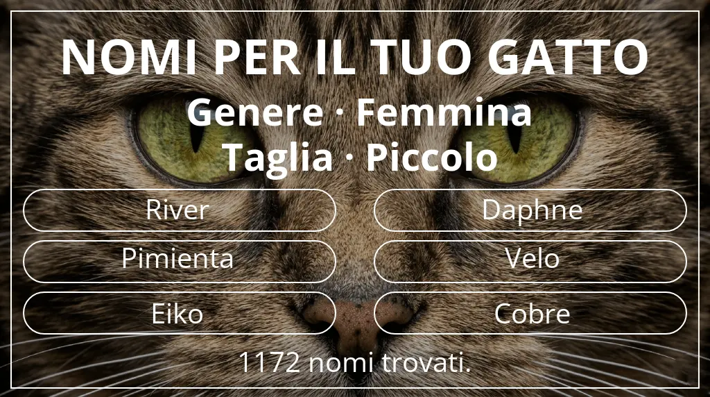 Nomi per il tuo gatto ispirati a genere femmina e taglia piccolo