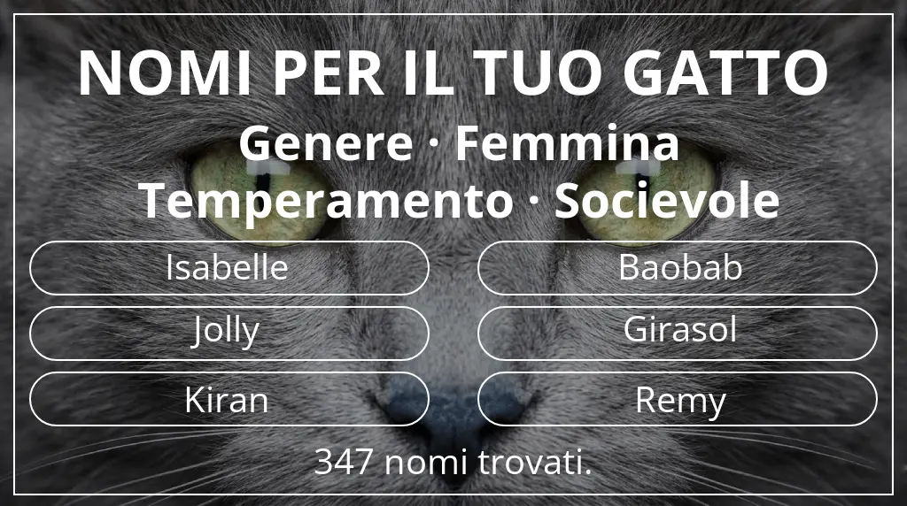 Nomi per gatti basati su genere femmina e temperamento socievole