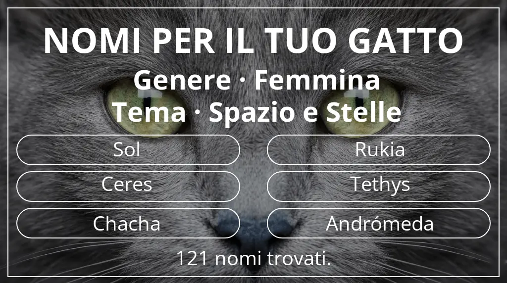 Nomi per gatti basati su genere femmina e tema spazio e stelle