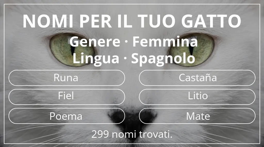 Nomi per gatti basati su genere femmina e lingua spagnolo