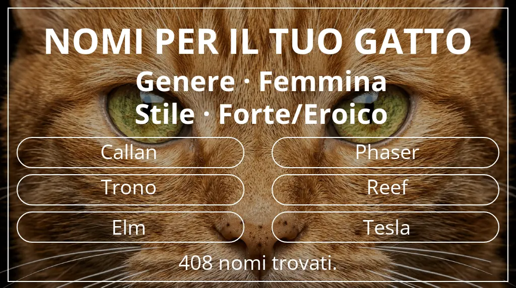 Nomi per gatti legati a genere femmina e stile forte/eroico