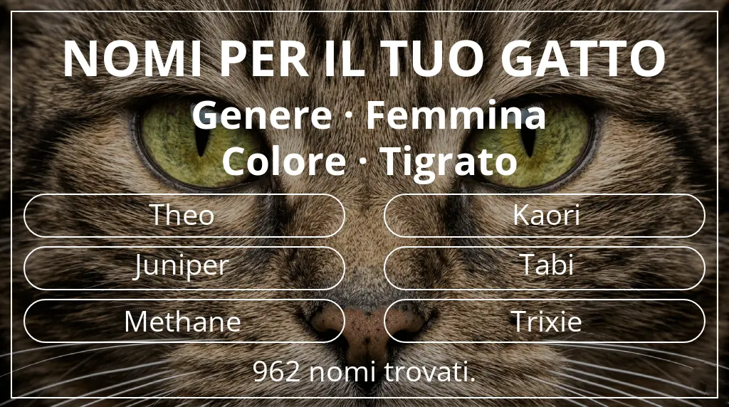 Nomi per gatti basati su genere femmina e colore tigrato