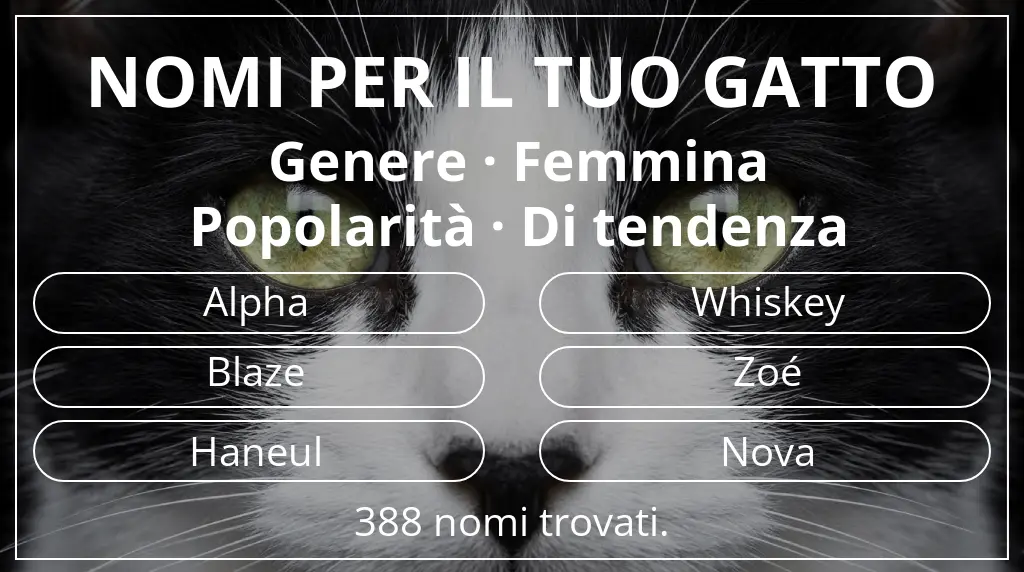 Nomi per gatti legati a genere femmina e popolarità di tendenza