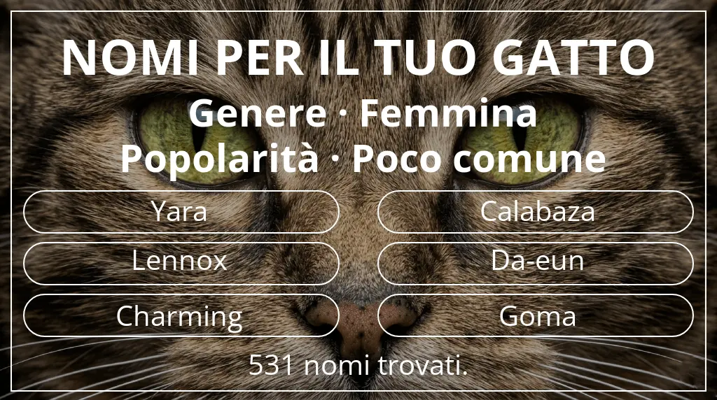 Nomi per gatti ispirati a genere femmina e popolarità poco comune