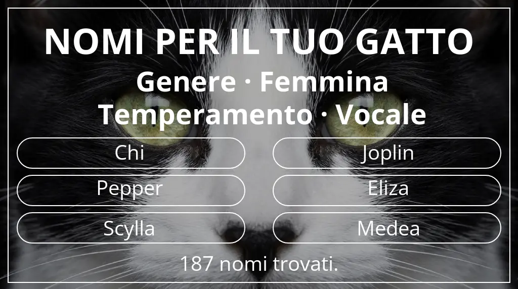 Nomi per gatti legati a genere femmina e temperamento vocale