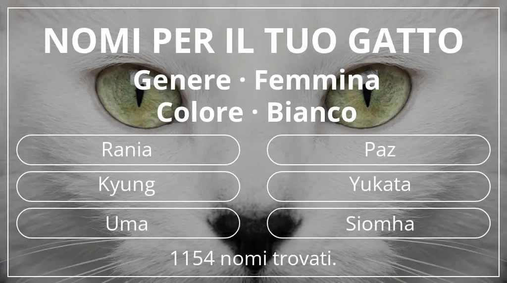 Nomi per gatti legati a genere femmina e colore bianco
