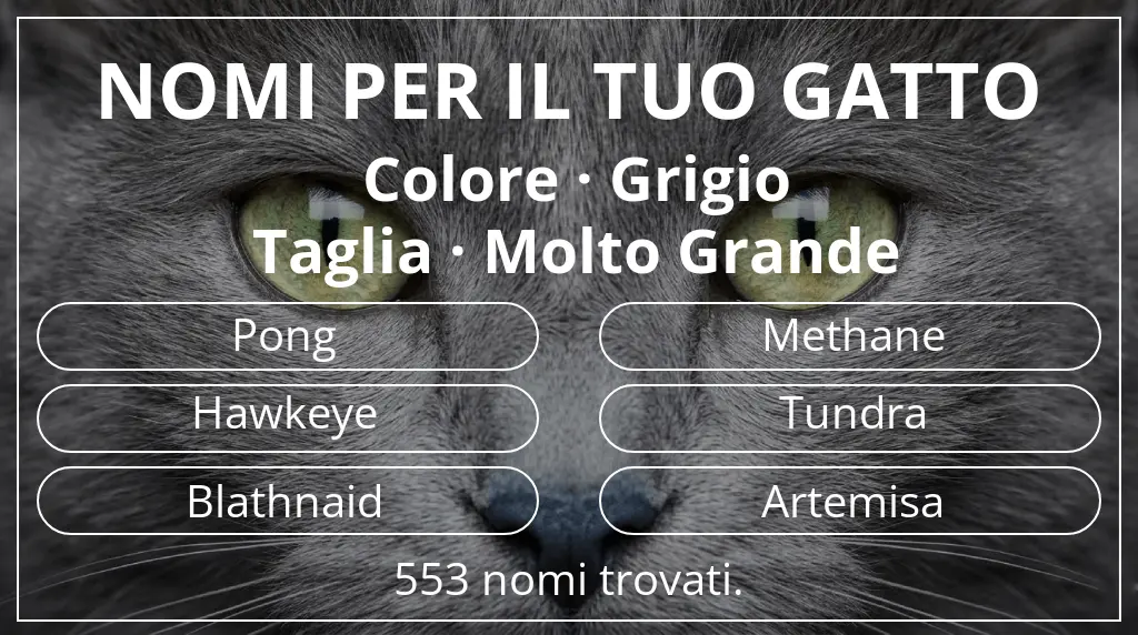 Nomi per il tuo gatto basati su colore grigio e taglia molto grande