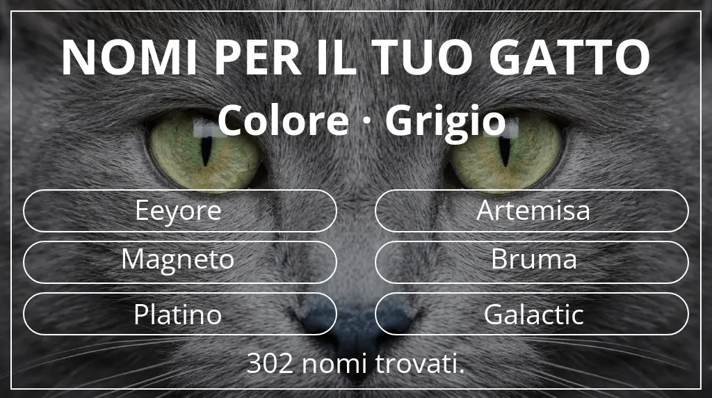Nomi felini legati a colore grigio