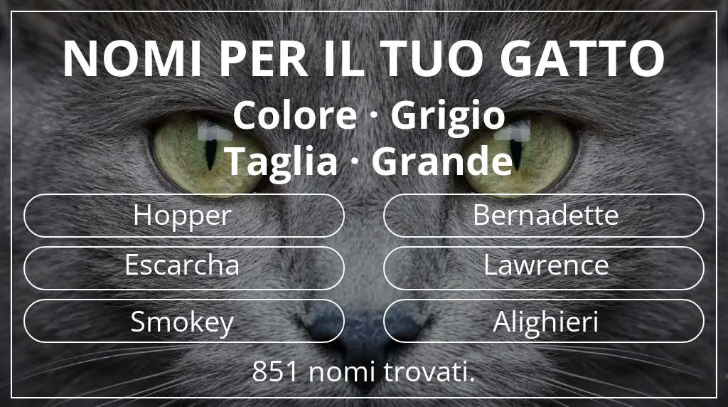 Nomi felini legati a colore grigio e taglia grande