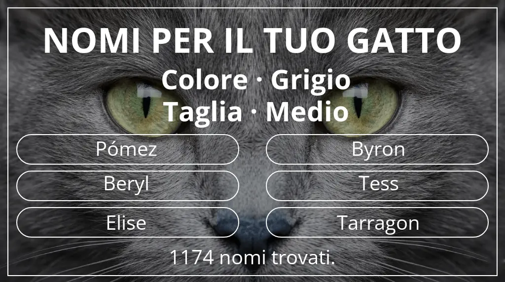 Nomi felini legati a colore grigio e taglia medio